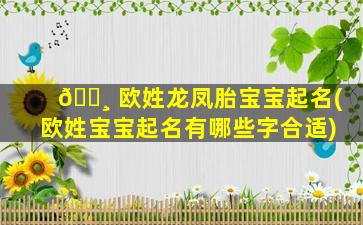 🕸 欧姓龙凤胎宝宝起名(欧姓宝宝起名有哪些字合适)